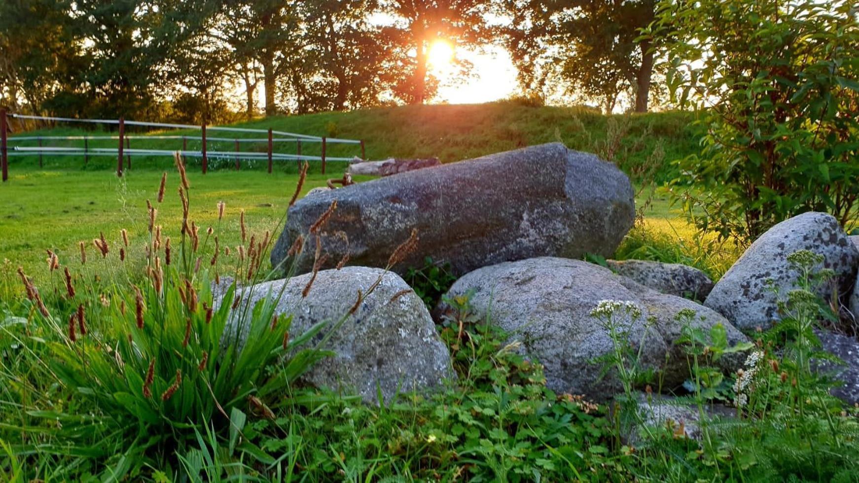 B&B Kuiper In Friesland Ureterp Buitenkant foto