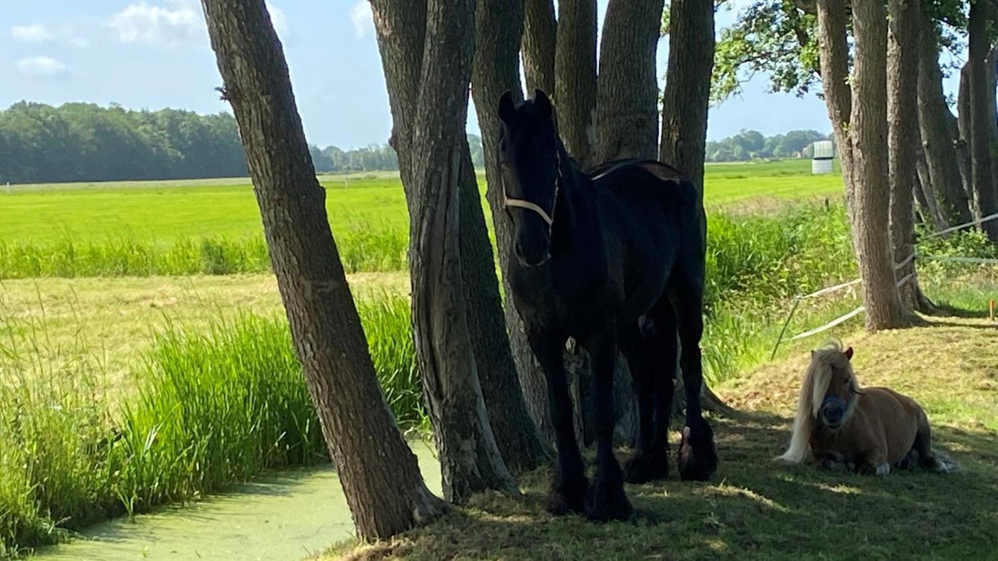 B&B Kuiper In Friesland Ureterp Buitenkant foto