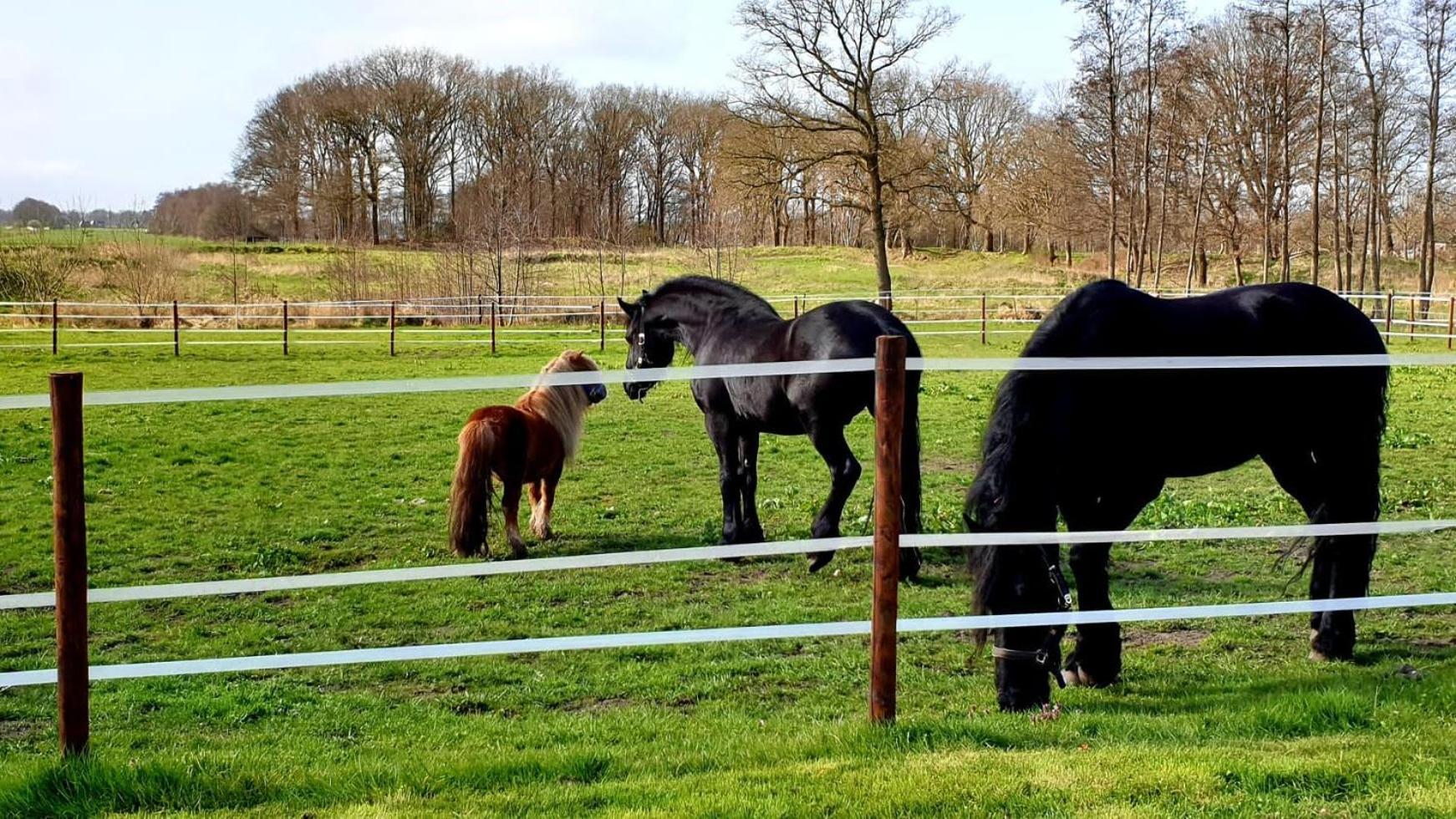 B&B Kuiper In Friesland Ureterp Buitenkant foto